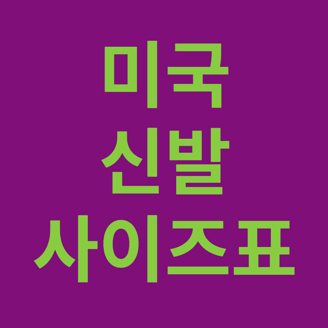 미국 신발 사이즈