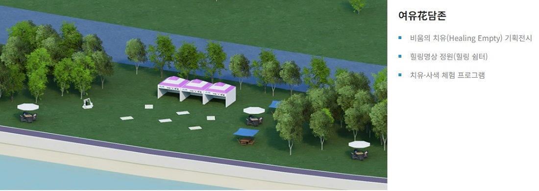 장성 황룡강 가을꽃 축제