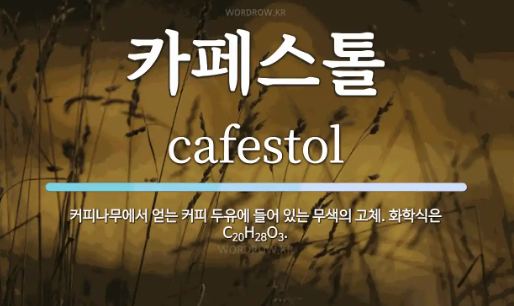 커피의 항산화 성분
