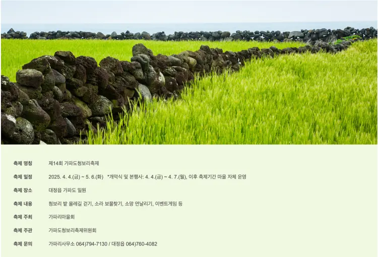 가파도 청보리축제