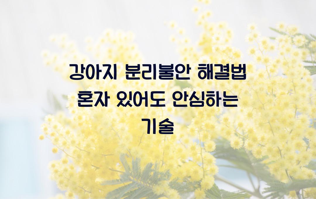 강아지 분리불안 해결법, 혼자 있어도 불안해하지 않는 방법