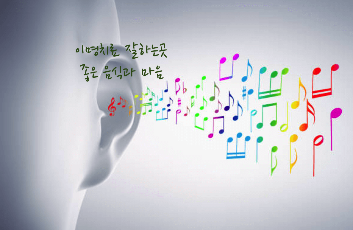 이명치료