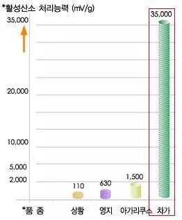 차가버섯 활성 탄소 처리능력 표