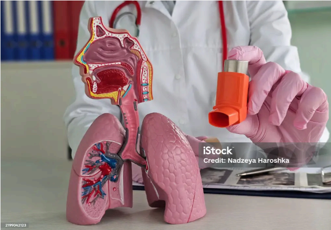 천식(asthma) — 정의·원인·증상·진단검사