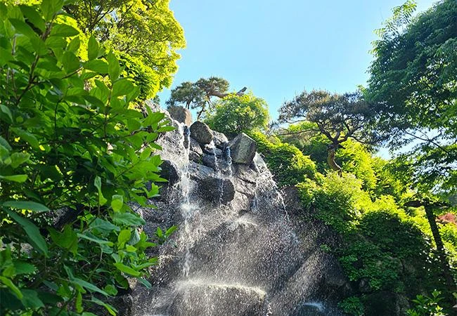화담숲 사진