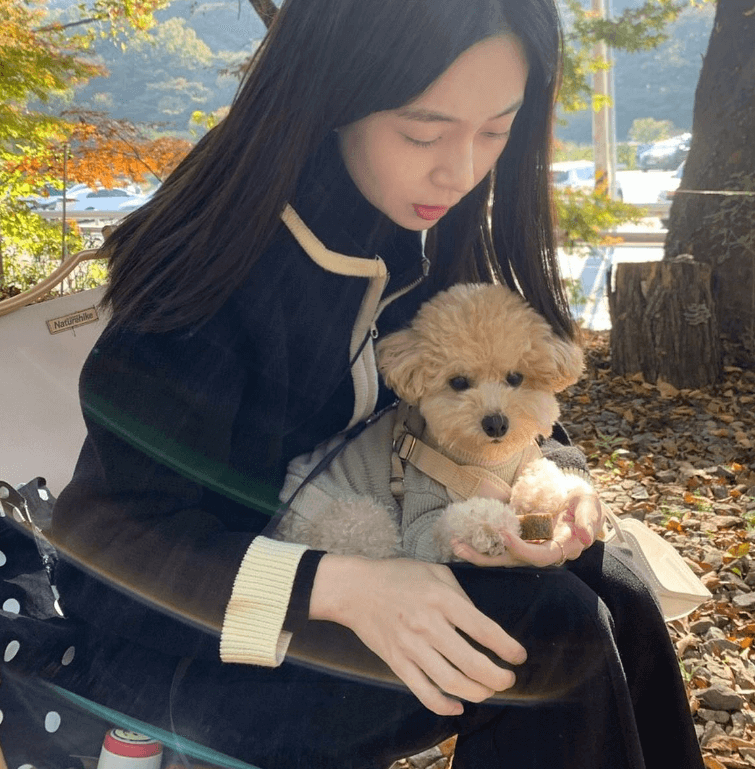 백진희