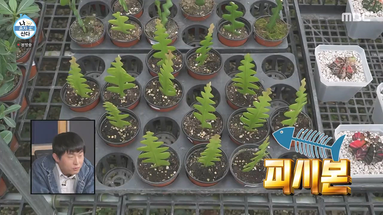 조인폴리아 근처 맛집