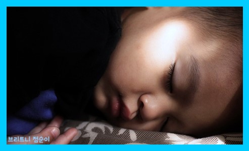 면역력에 좋은 음식10가지 사진