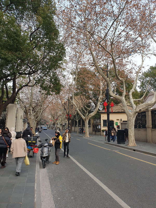 나무와 옛 건물들이 보이는 길. 사람들이 사진을 찍고 있다.