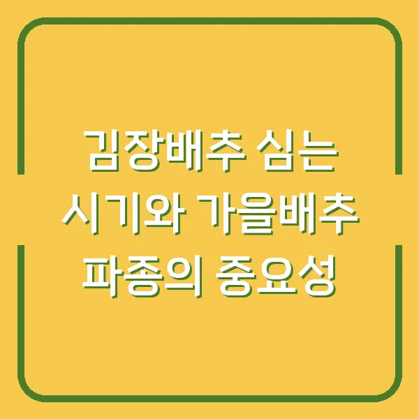 김장배추 심는 시기와 가을배추 파종의 중요성
