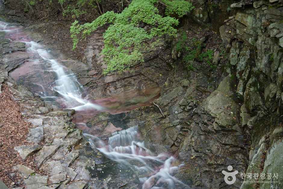 국립운문산자연휴양림