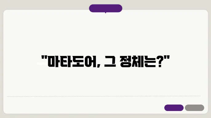 마타도어의 법적 문제