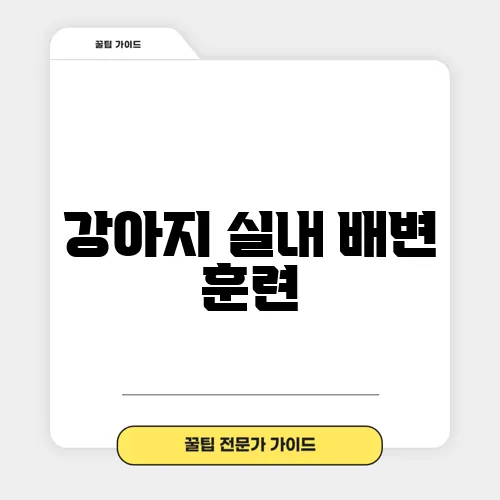 강아지 실내 배변 훈련, 집에서 깨끗한 습관을 확실히 가르쳐 보세요!
