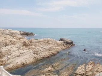 기장 가볼만한곳 베스트 10 명소_19