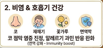 프로폴리스 효능