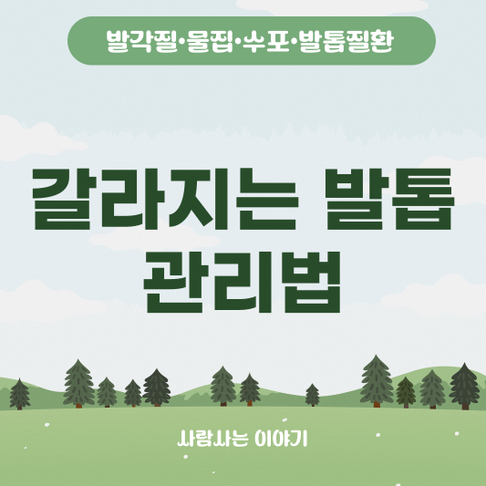 발톱이 자꾸 갈라진다면? 원인부터 대처법까지 한눈에 정리 feat. 자가관리법