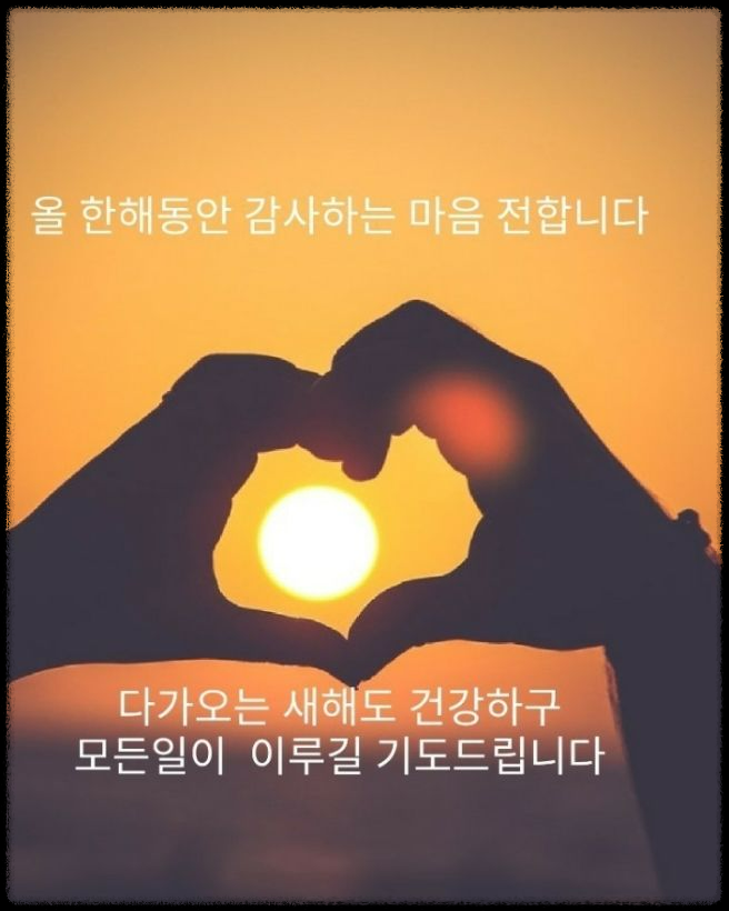 2025 을사년 뱀의 해 새해 인사말 모음