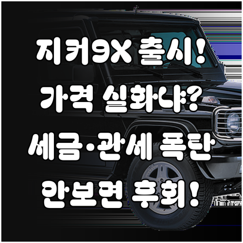 중국 프리미엄 SUV 지커 9X 국내..
