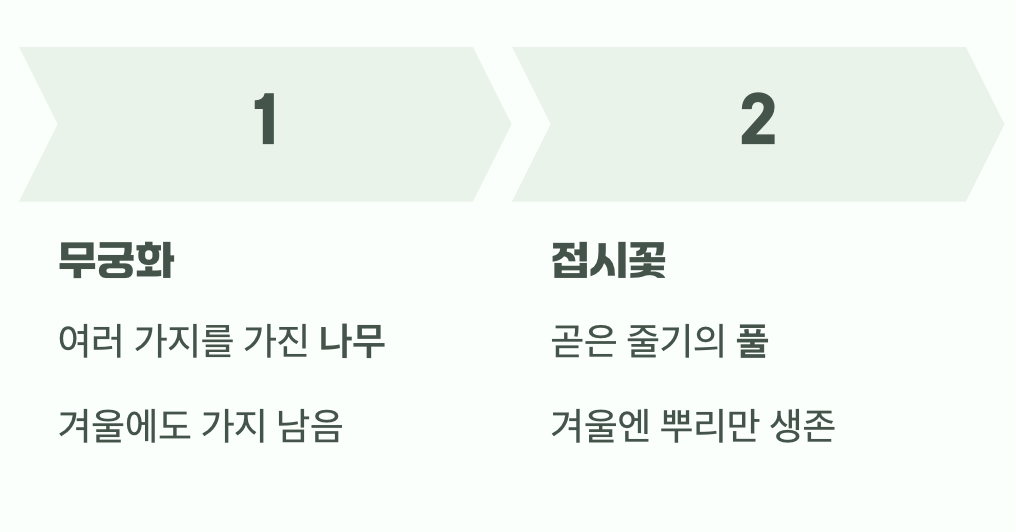 1. 가장 결정적인 단서, 나무와 풀의 차이