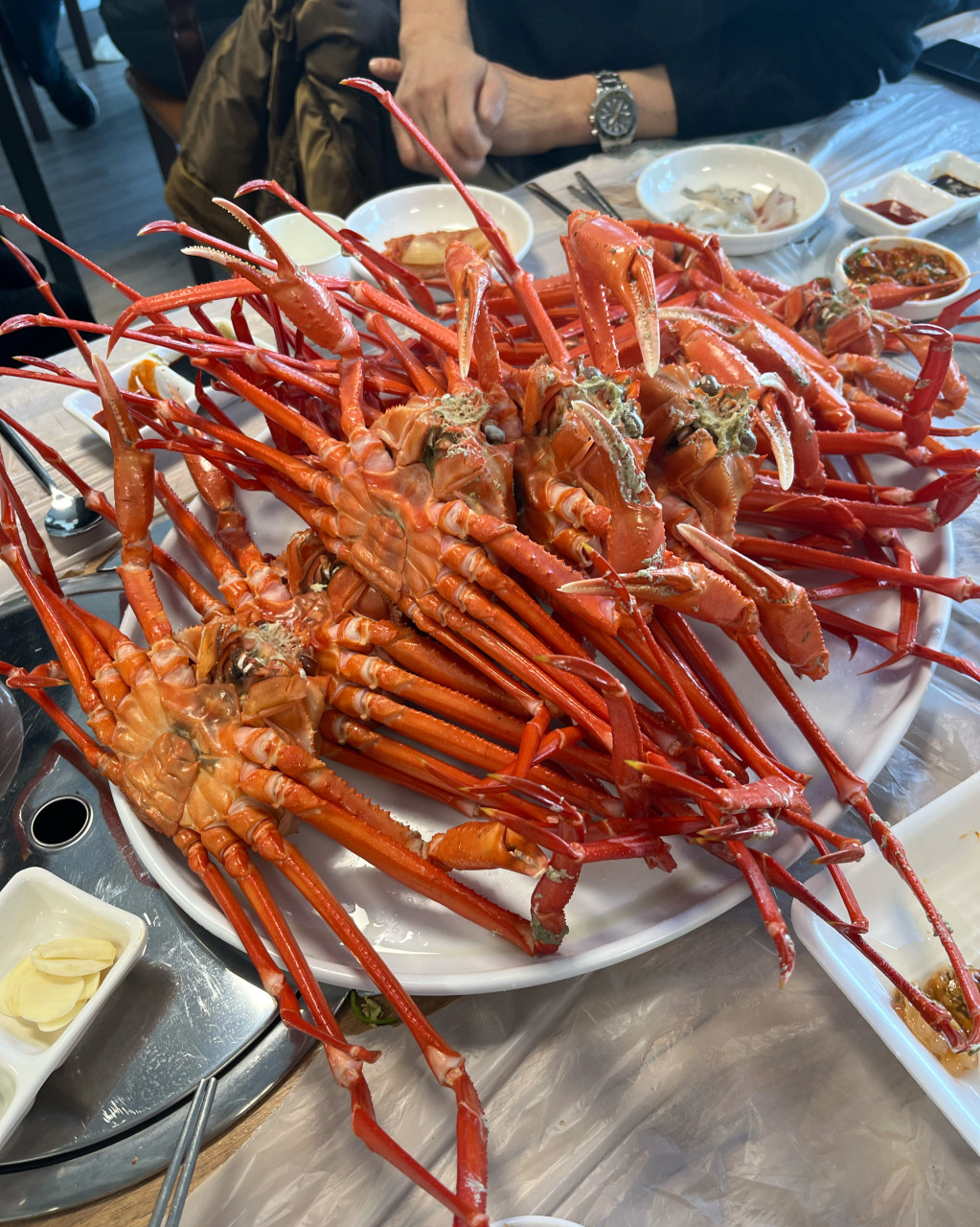 삼척항활어회센타