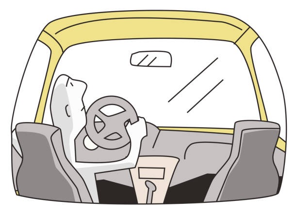 광복절-특별사면-운전면허-복원