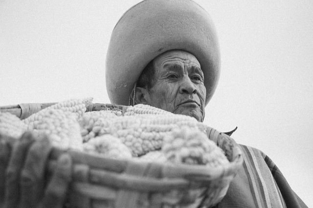 시골에서 부업하는 60대 노인