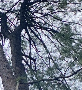 동두천 자연휴양림 숲나들e 국내 여행지 추천 관련사진