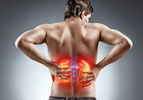 고혈압 신장질환 사구체여과율 콩팥건강 저염식 혈압관리 단백뇨 당뇨병 생활습관개선