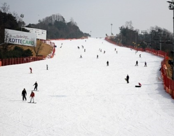 국내스키장-추천-BEST5