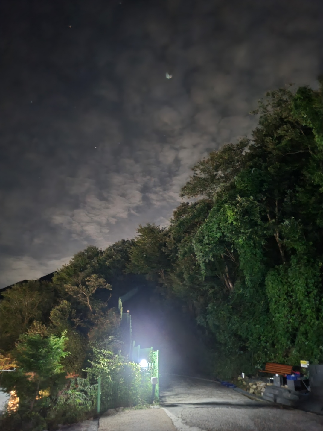 사과 향기 캠핑장 야경