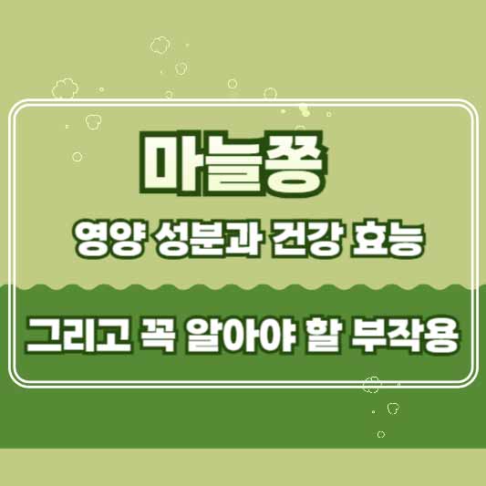 마늘종 영양 성분과 건강 효능 및 부작용