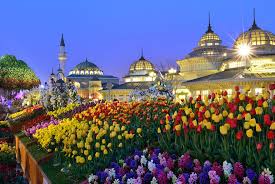 용인 에버랜드 튤립축제