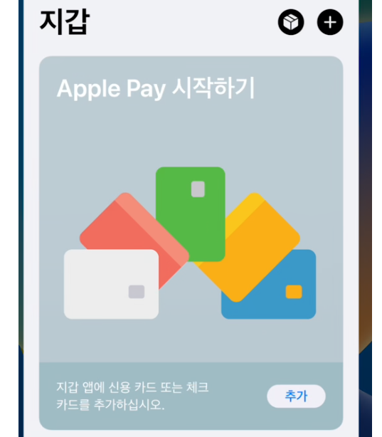 Apple Pay