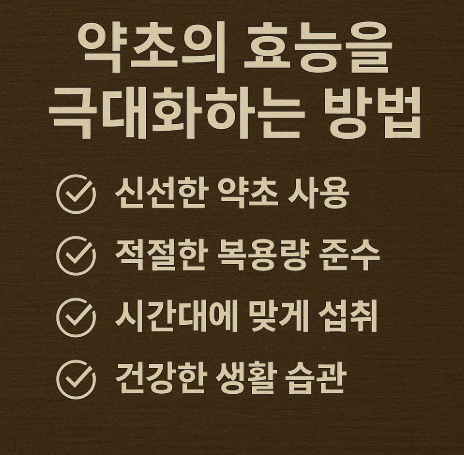 약초의 효능을 극대화하는 방법