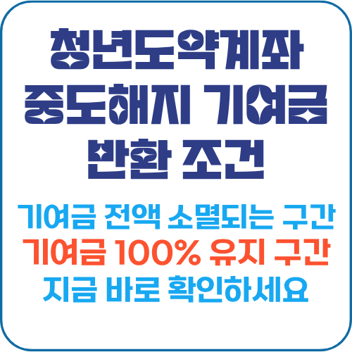 청년도약계좌 중도해지 기여금 반환 조건 비교표