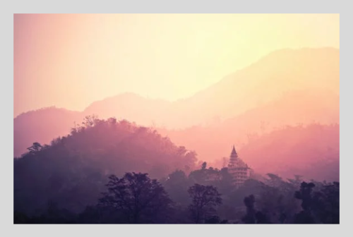 러브버그 방역법