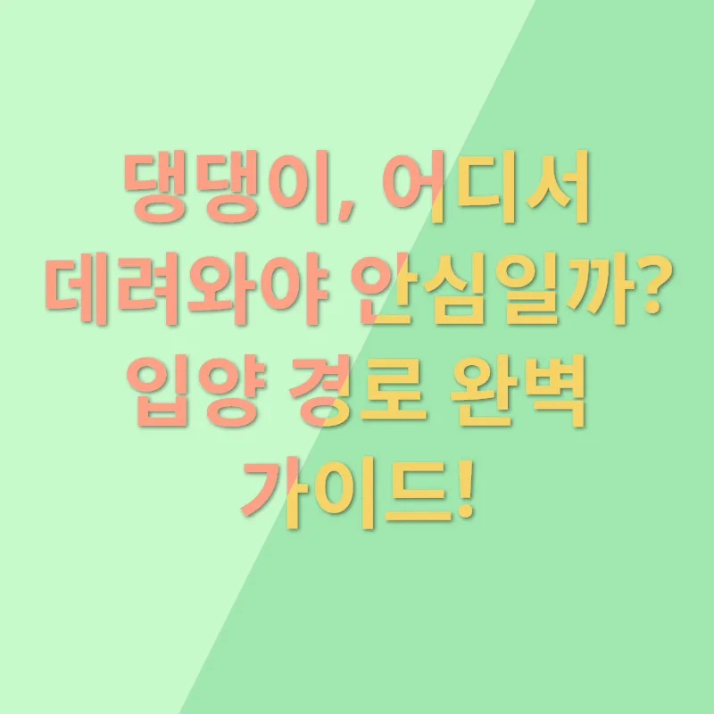 반려동물 입양_2