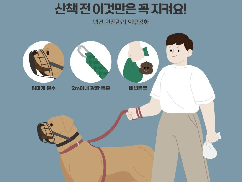 반려견 목줄 & 입마개 규정과 과태료 알아보기