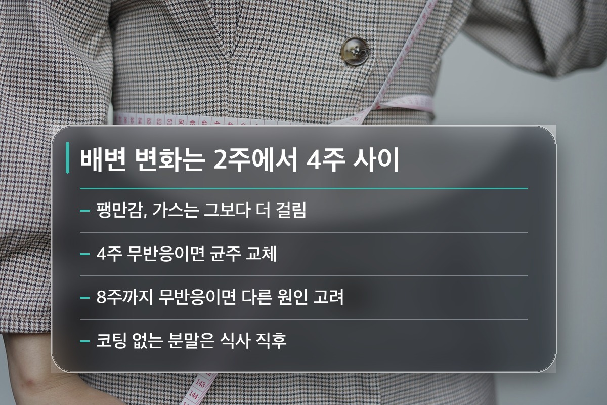 유산균 효능 유산균 효능은 얼마나 먹어야 나타납니까?