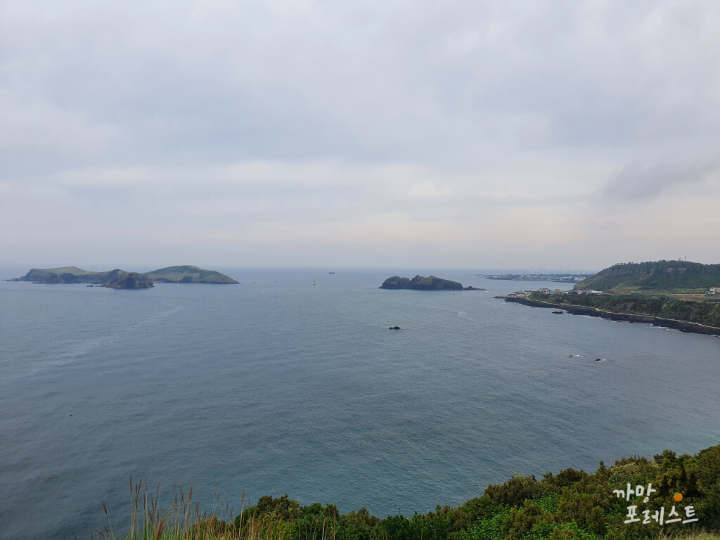 수월봉 정상 View