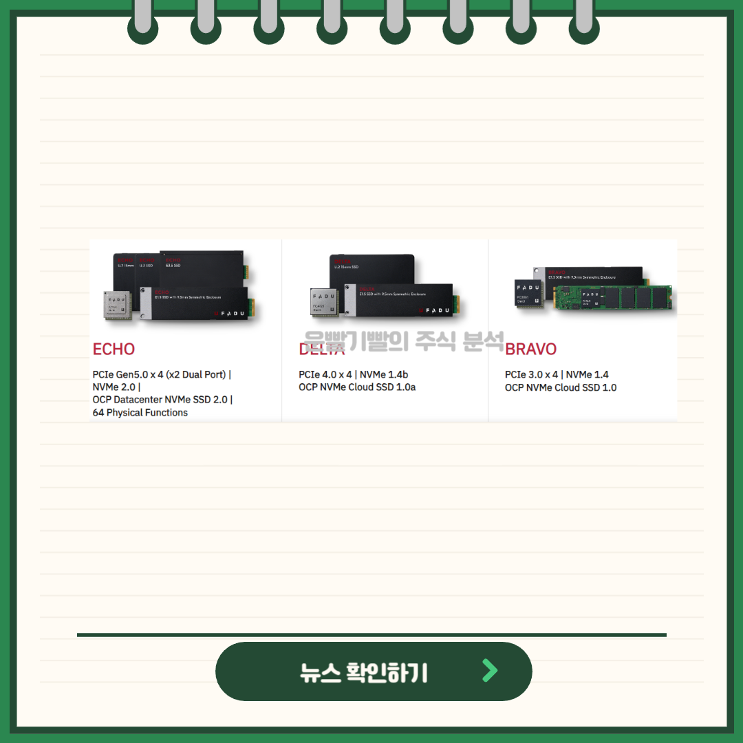 파두 뉴스