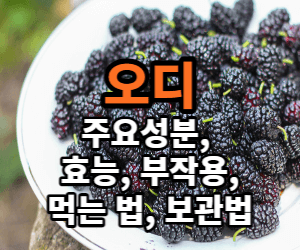 오디