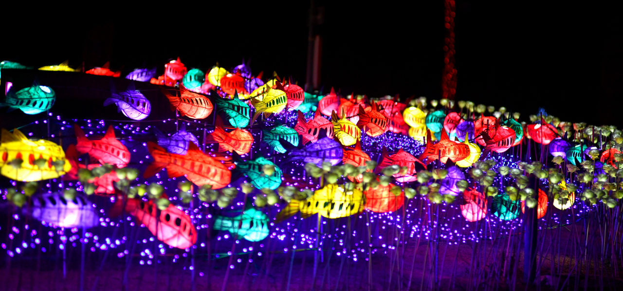 화천 산천어축제