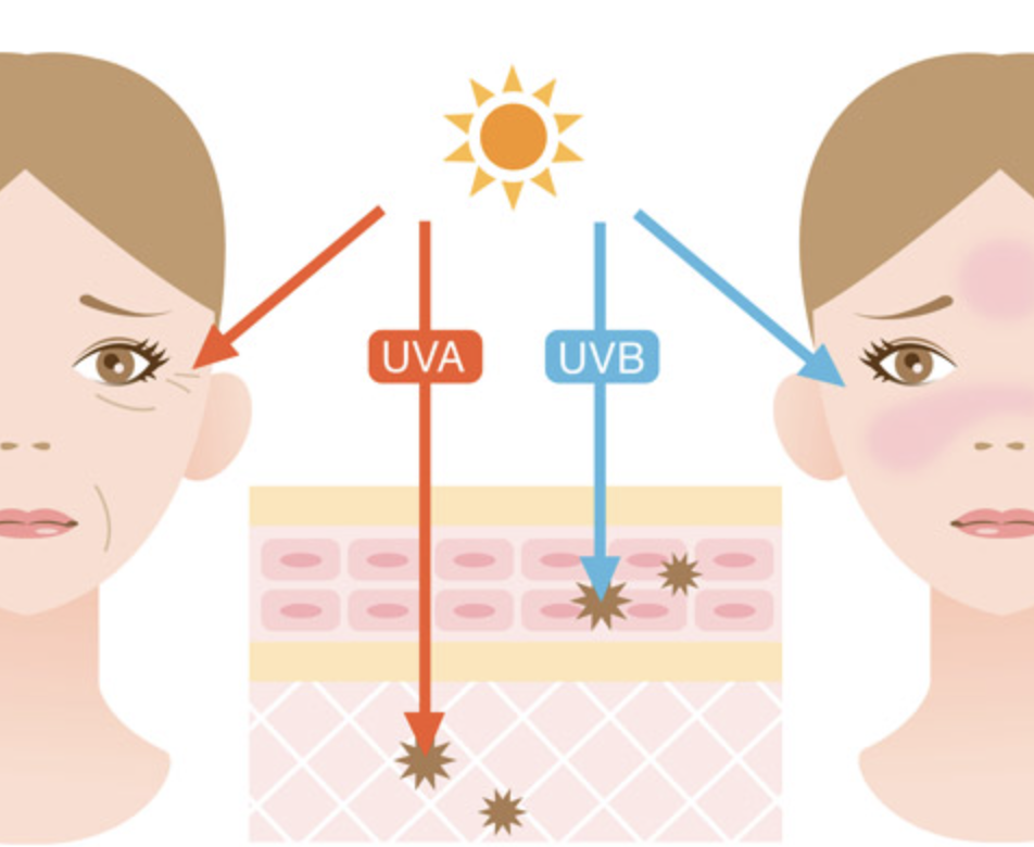 자외선 차단 방법