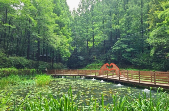 대전 장태산 자연휴양림