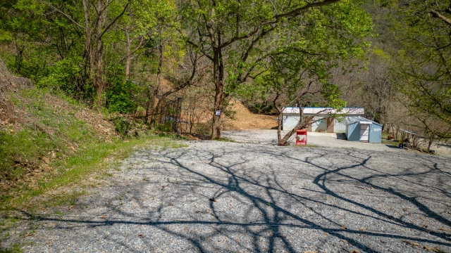 가평 : 밤나무숲 캠핑장 (애견동반가능)