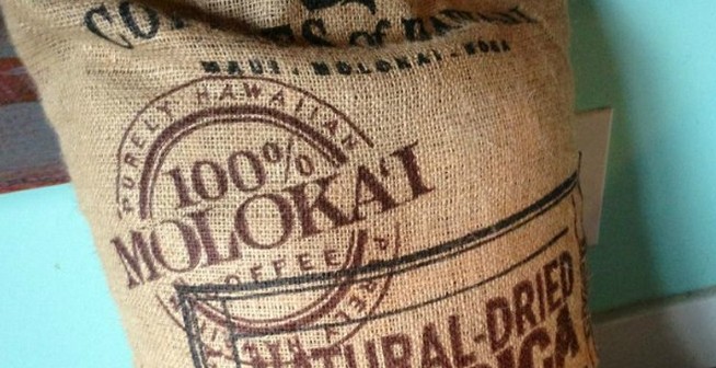 [커피비교] 세계에서 가장 비싼 커피 - 몰로카이 커피