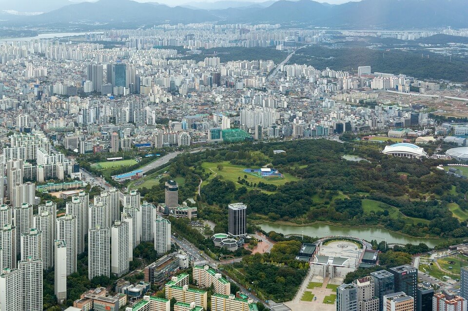 AI와 도시 나무 건강 점수를 활용한 구간별 관리 등급제