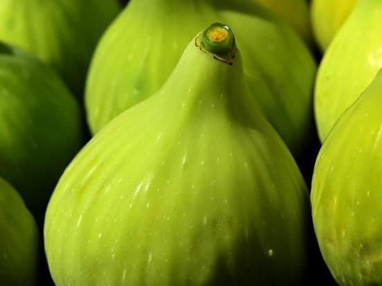 생과 그대로 섭취하는 무화과