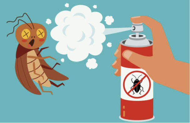 오래된 아파트 바퀴벌레 퇴치방법